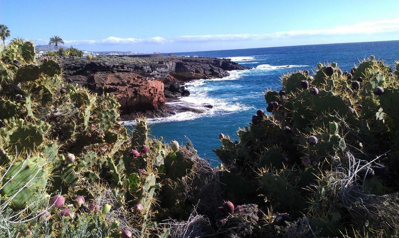 Ocean View Studio Costa Adeje  Exterior photo